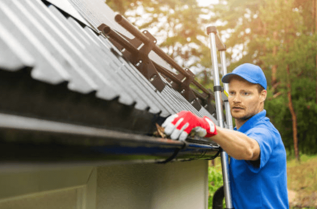 edison gutter service